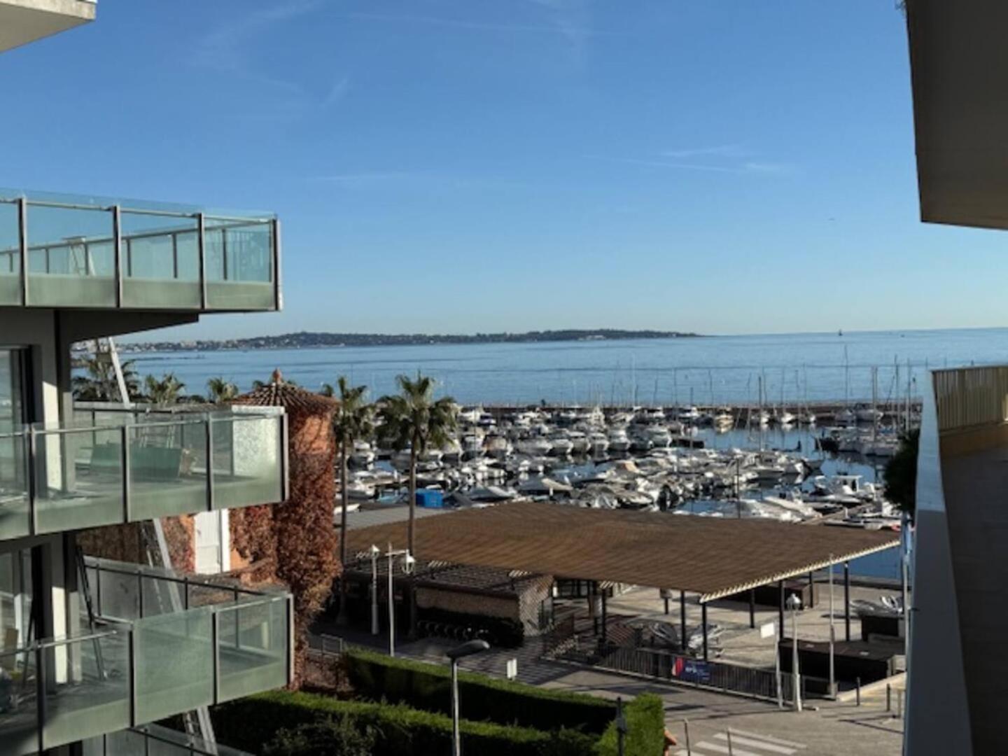 Palm Right Next To The Sea * Cannes